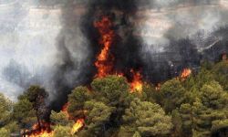 إيران تطلق نداء استغاثة دولي لإخماد حرائق مازندران المشتعلة منذ أسابيع